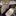 MG 5 - image 12