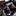 TOYOTA LAND CRUISER - image 12