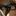 RANGE ROVER Vouge 50HSE - image 12