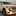 Toyota Land Cruiser - image 1